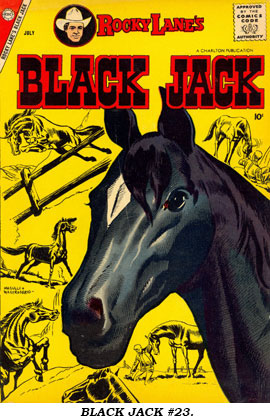 BLACK JACK #23.