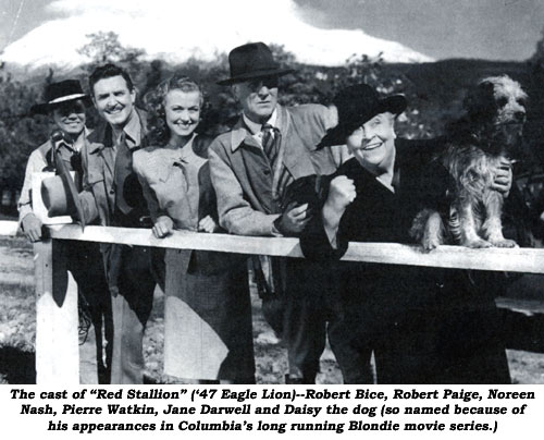 The cast of "Red Stallion" ('47 Eagle Lion)--Robert Bice, Robert Paige, Noreen Nash, Pierre Watkin, Jane Darwell and Daisy the dog (so named because of his appearances in Columbia's long running Blondie movie series.)