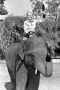 Mickey Braddock as Corky "Circus Boy".