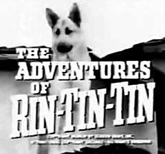 The Adventures of Rin Tin Tin.