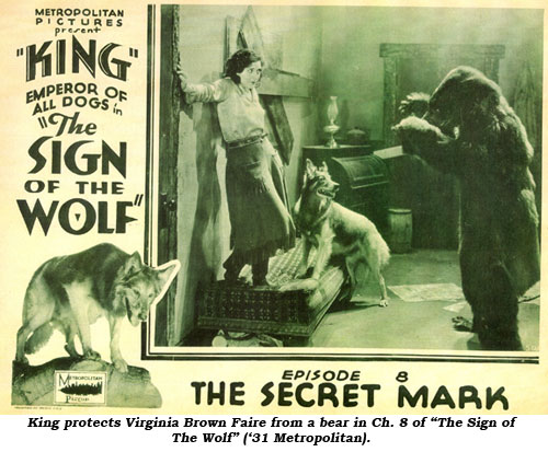 King protects Virginia Brown Faire from a bear in Ch. 8 of "The Sign of the Wolf" ('31 Metropolitan).