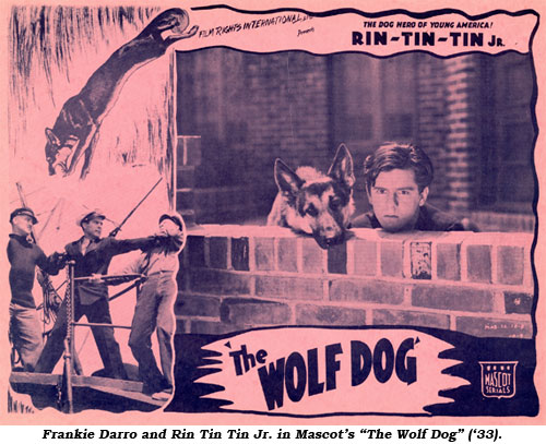 Frankie Darro and Rin Tin Tin Jr. in Mascot's "The Wolf Dog" ('33).