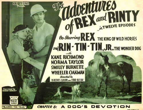 Title card for The Adventures of Rex and Rinty".