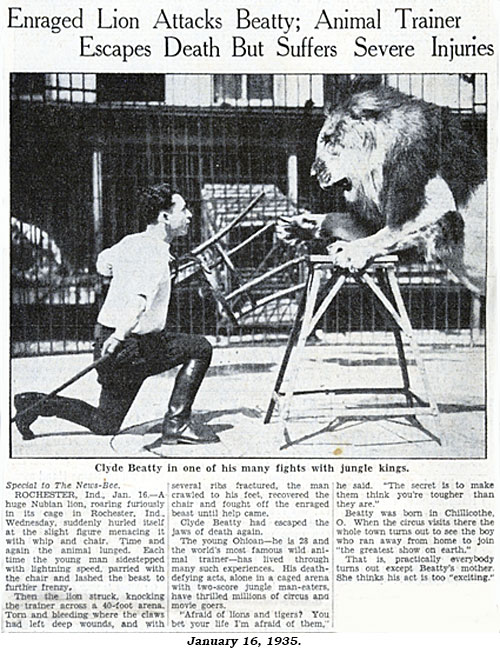 Article "Enraged Lion Attacks Beatty; Animal Trainer Escapes Death But Suffers Severe Injuries" from January 16, 1935 newspaper.
