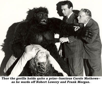 Thor the gorilla holds quite a prize--luscious Carole Mathews--as he wards off Robert Lowery and Frank Morgan.