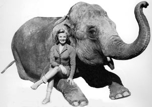 phyllis Coates as Panther Girl of the Kongo with her elephant.