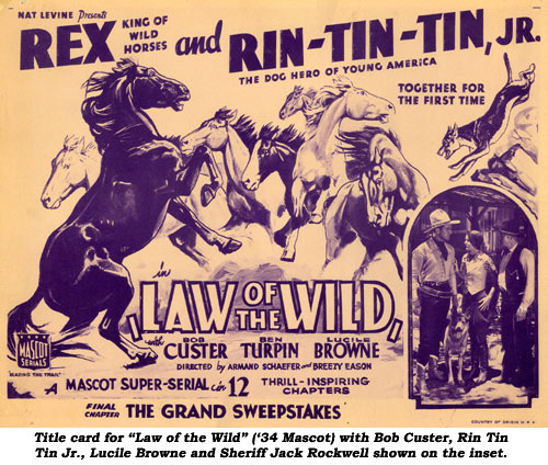 Title card for "Law of the Wild" ('34 Mascot) with Bob Custer, Rin Tin Tin Jr., Lucile Browne and Sheriff Jack Rockwell shown on the inset.