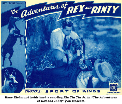 Kane Richmond holds back a snarling Rin Tin Tin Jr. in "The Adventures of Rex and Rinty" ('35 Mascot).