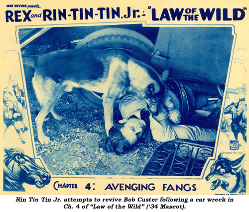 Rin Tin Tin Jr. attempts to revive Bob Custer following a car wreck in Ch. 4 of "Law of the Wild" ('34 Mascot).