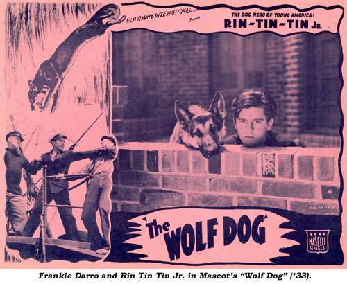 Frankie Darro and Rin Tin Tin Jr. in Mascot's "Wolf Dog" ('33).