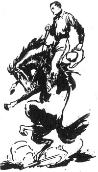 Drawing of cowboy on bucking horse, Rex.