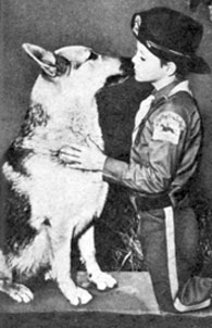 Great affection between Rinty and Lee Aaker (Corp. Rusty) on “The Adventures of Rin Tin Tin”. 