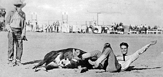 Rodeo champion Yakima Canutt wrestles a steer circa early ‘20s. 