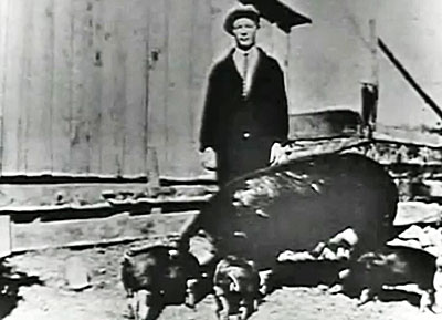 A very young Roy Rogers with his pet pig and her piglets.