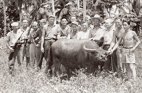 Gene Autry earned his military pilot's wings during his service and traveled to exotic places like India and China. Here, somewhere in the South Pacific, Gene 
meets a water buffalo. 