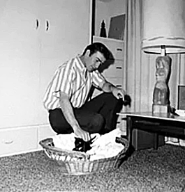 James Drury at home just ‘kitten’ around. 