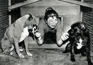 “Gunsmoke”’s Amanda Blake with her two boxers, one thoroughbred, the other half Cocker Spaniel, Toulouse and Berdina. (Photo courtesy Terry Cutts.)